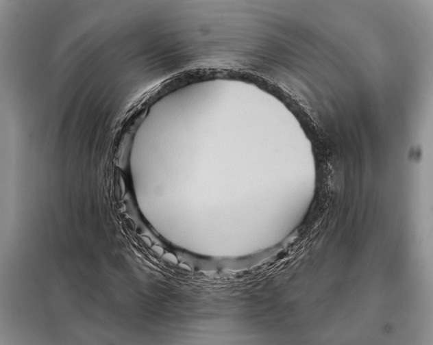 X0000097870872200804110922