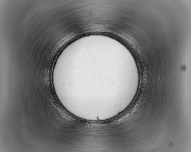X0000097870873200804110922