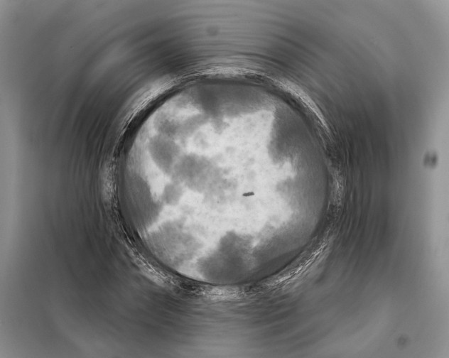 X0000097870874200804110921