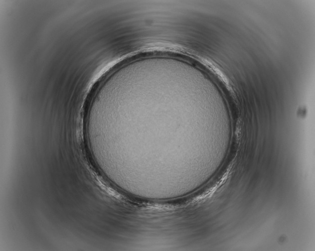 X0000097870877200804110921