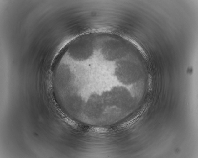 X0000097870878200804110921