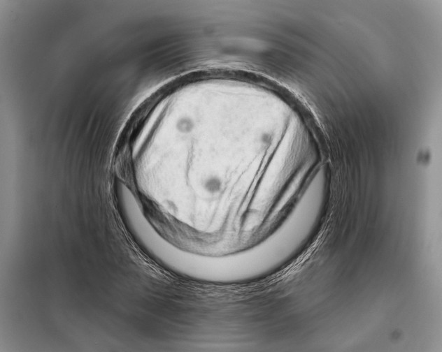 X0000097870879200804110921