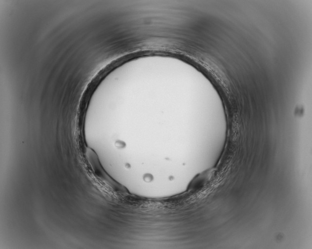 X0000097870880200804110921