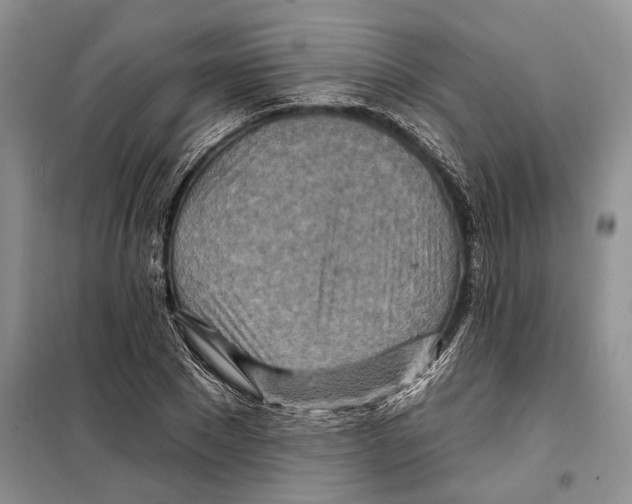 X0000097870881200804110921