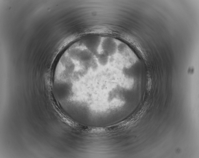 X0000097870882200804110921