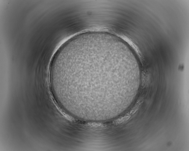 X0000097870886200804110921