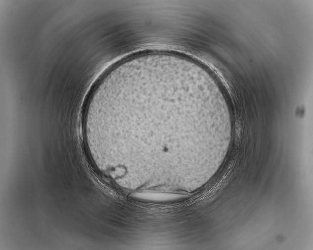 X0000097870887200804110921
