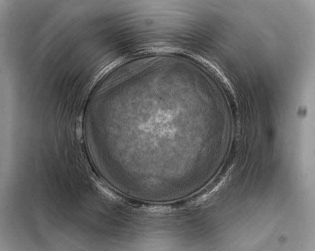 X0000097870889200804110921