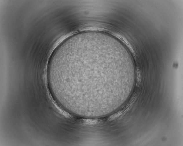 X0000097870890200804110921