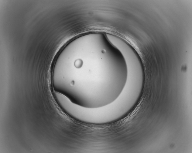 X0000097870891200804110921