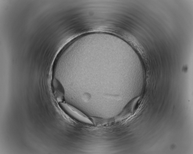 X0000097870892200804110921