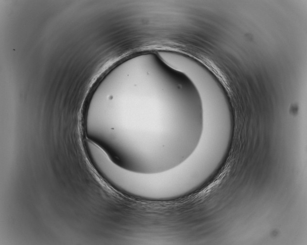 X0000097870893200804110921