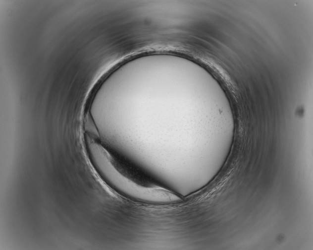 X0000097870894200804110921
