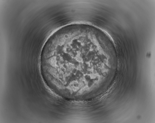 X0000097870895200804110921