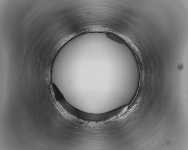 X0000097870897200804110921
