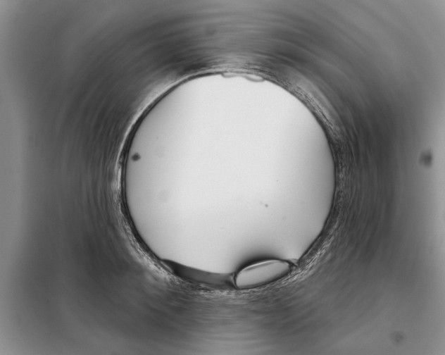 X0000097870900200804110921