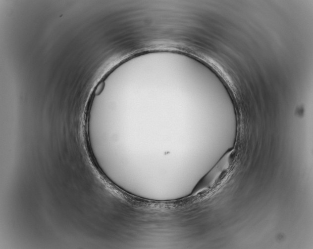 X0000097870901200804110921