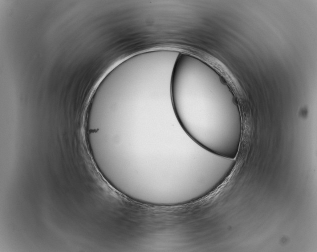 X0000097870908200804110921