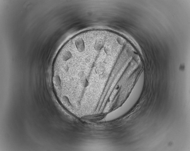 X0000097870911200804110921