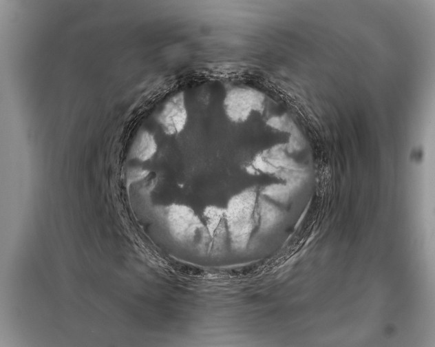 X0000097870913200804110920