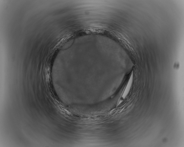 X0000097870915200804110920