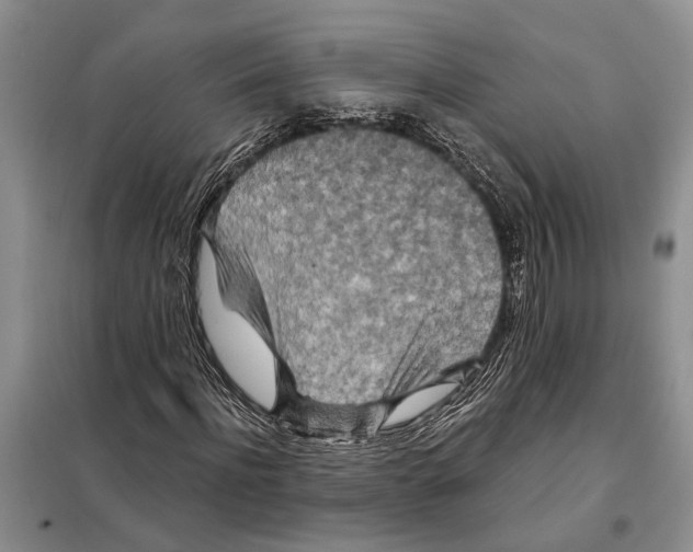X0000097870916200804110920