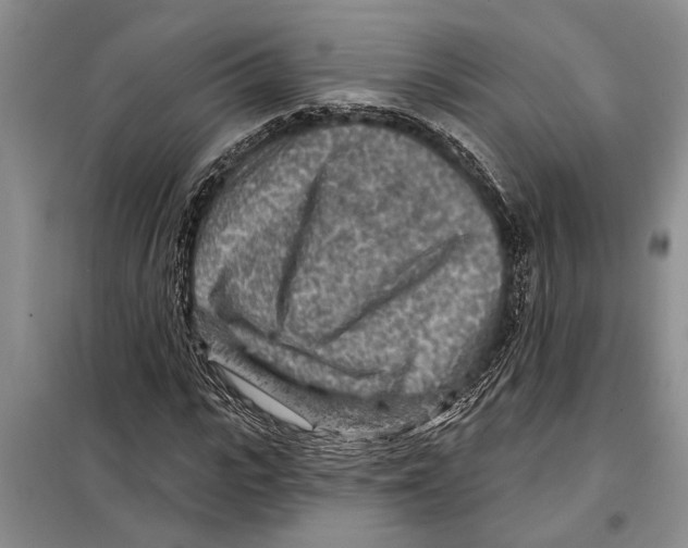 X0000097870919200804110920