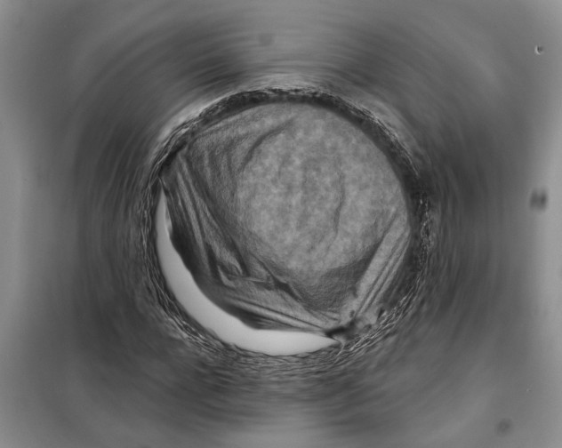 X0000097870920200804110920