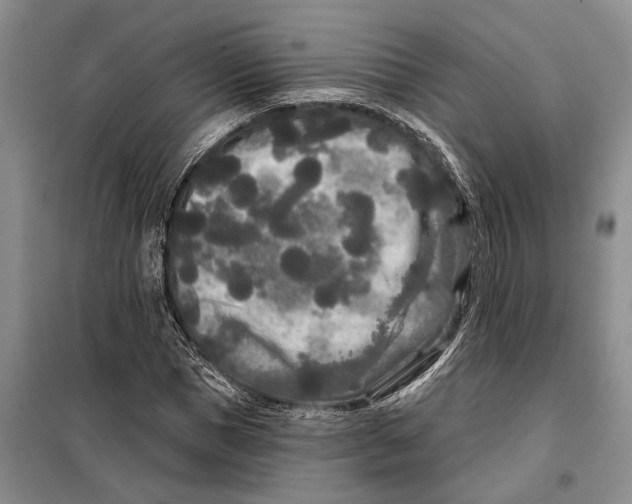 X0000097870921200804110920