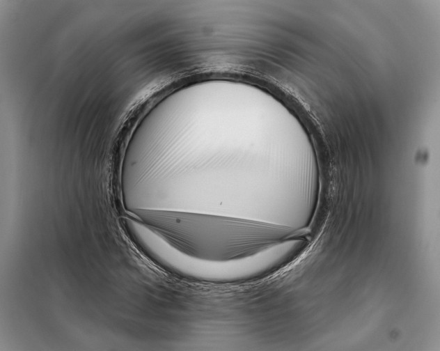 X0000097870922200804110920