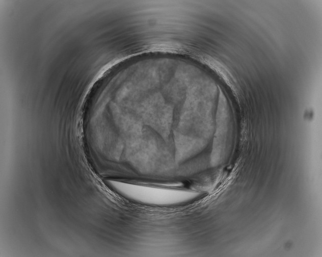 X0000097870923200804110920