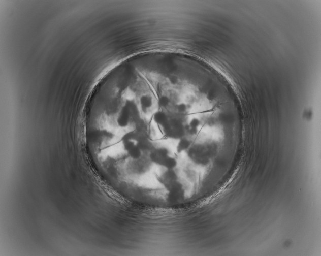 X0000097870925200804110920