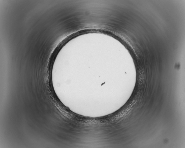 X0000097870927200804110920