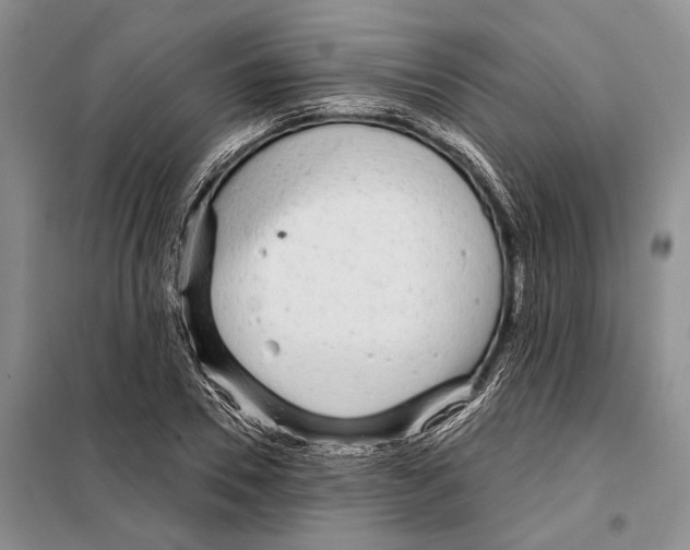X0000097870930200804110920