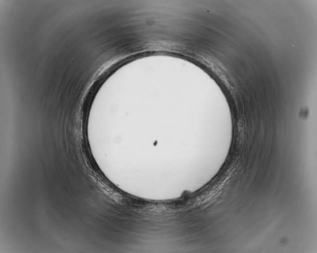 X0000097870931200804110920