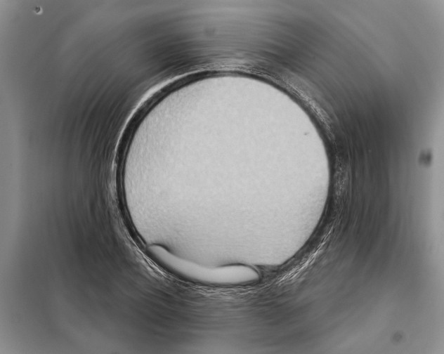X0000097870932200804110920