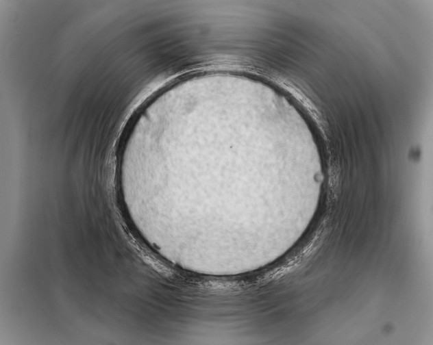 X0000097870933200804110920