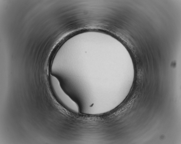 X0000097870934200804110920
