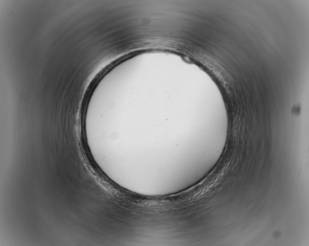 X0000097870936200804110920