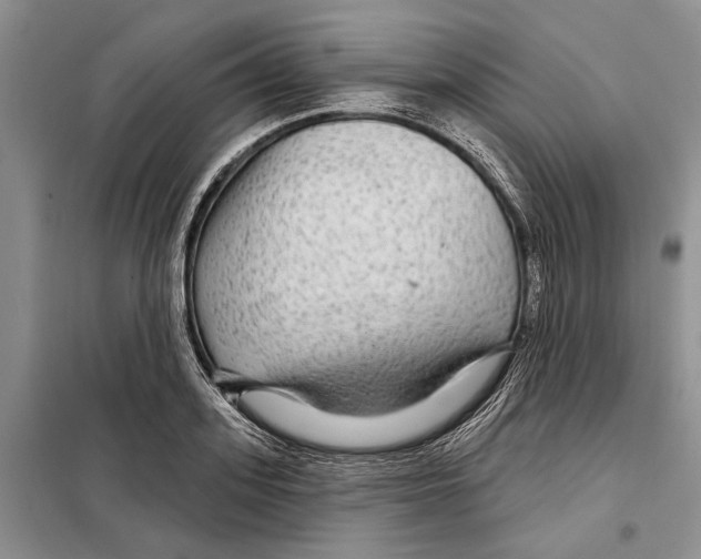 X0000097870939200804110920
