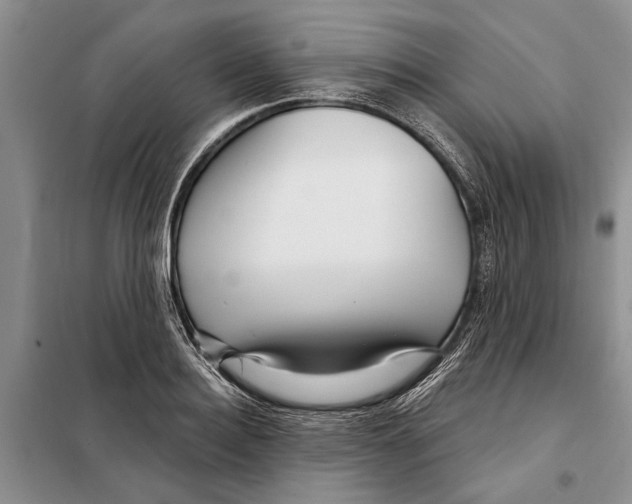 X0000097870940200804110920