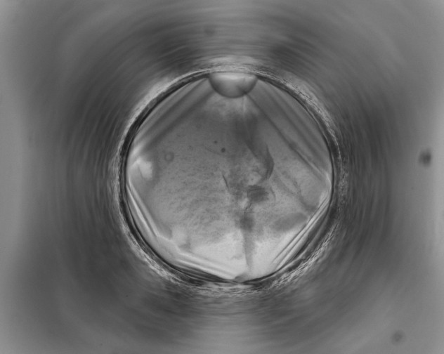 X0000097870941200804110921