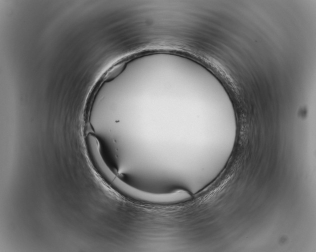 X0000097870942200804110921
