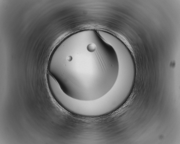 X0000097870946200804110921