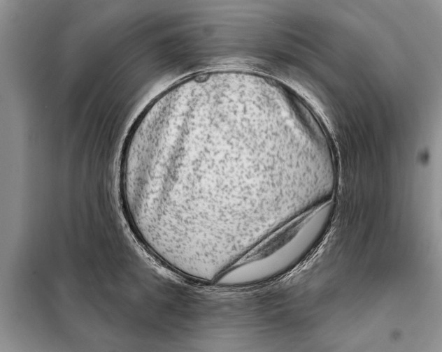 X0000097870949200804110921