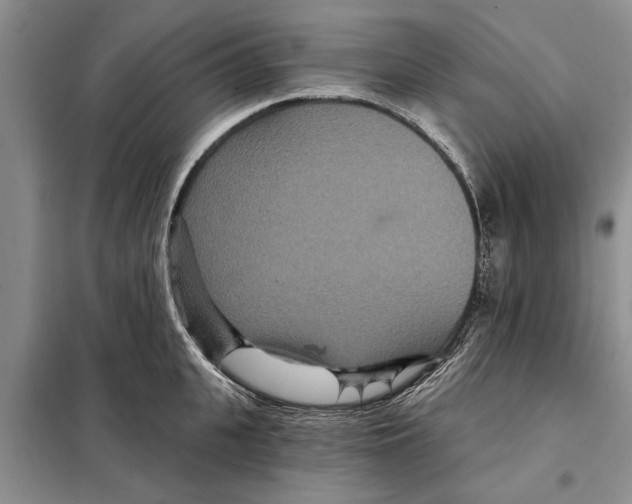 X0000097870951200804110921