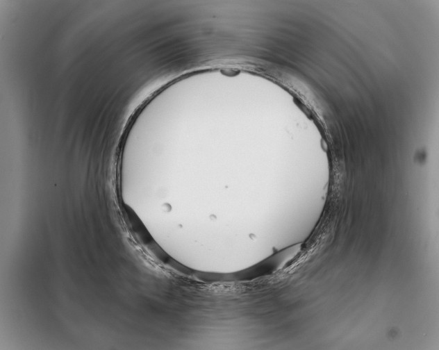 X0000097870952200804110921