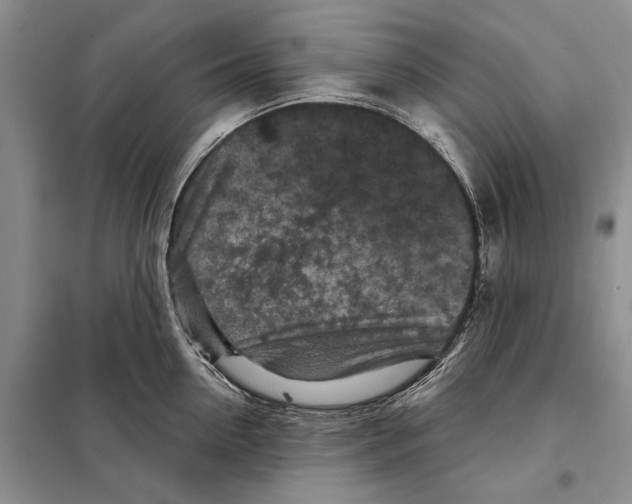 X0000097870954200804110921