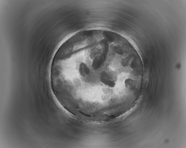 X0000097870957200804110921
