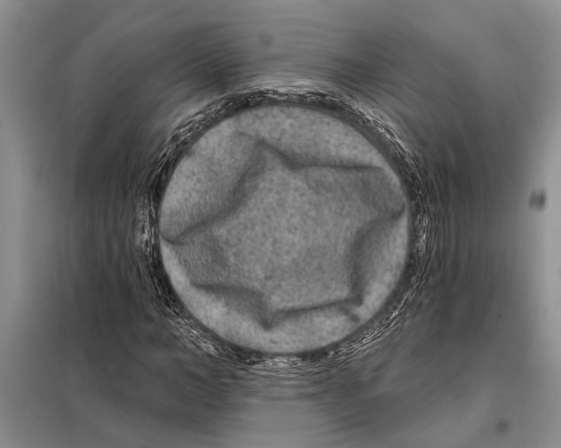 X0000097870966200804110920